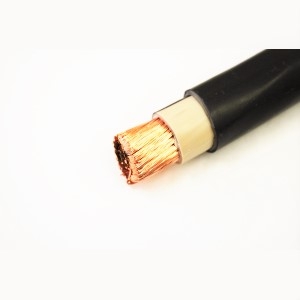 КГВВЗнг(A)-FRLSLTx 1x120-1