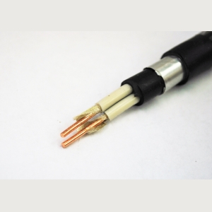 ВВГЭнг(A)-LS 2x10-0.66